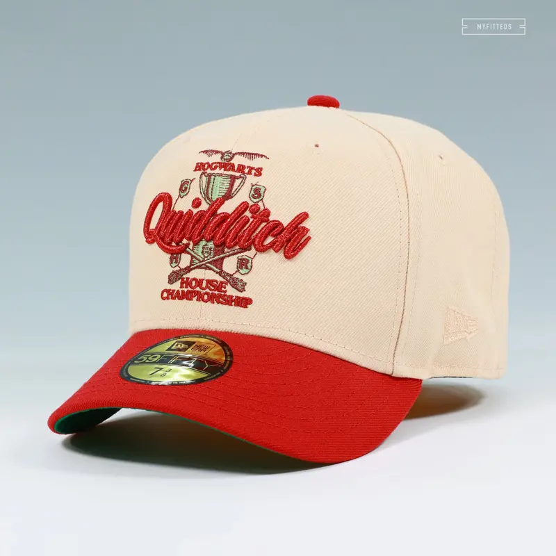 Harry Potter™ Hogwarts™ Quidditch™ House Championship Cap 1