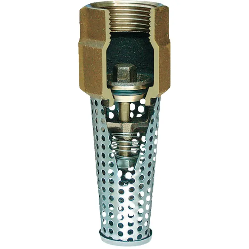 Lead-Free Silicon Bronze 2-Inch Foot Valve For Potable Water Systems 1
