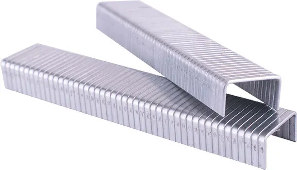 Miles Galvanized T50 Staples 18G, 6Mm Length, 1250-Pack (No. 4) 1