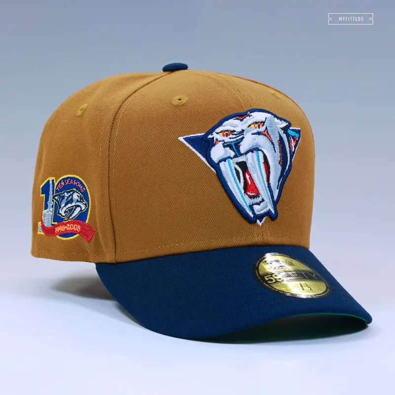 Nashville Predators 10Th Anniversary (2001–2007) Reverse Retro Fitted Cap 1