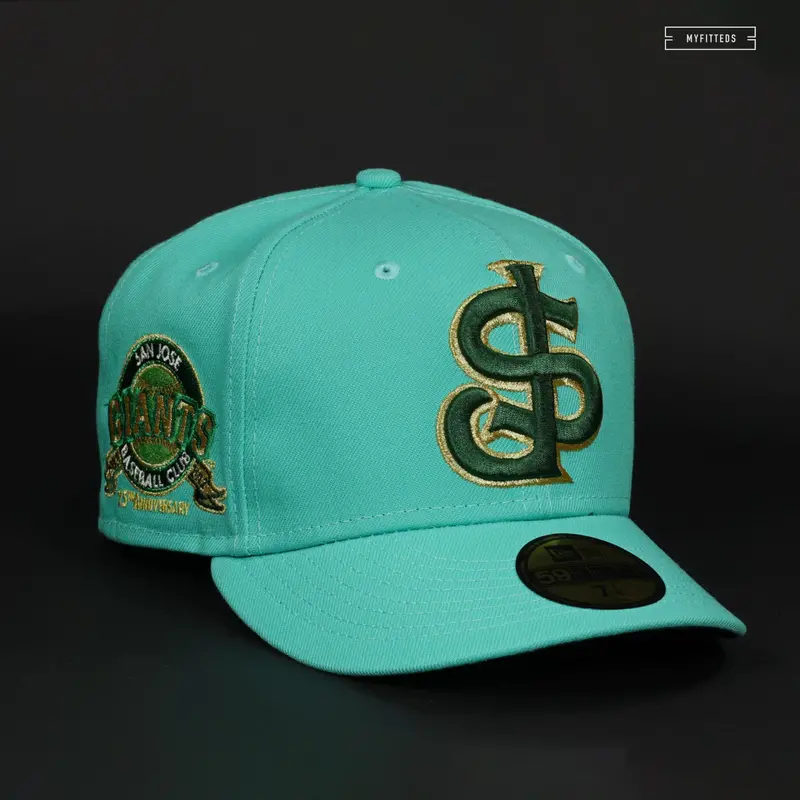 San Jose Giants 25Th Anniversary Quidditch Through The Ages Inspired New Era Hat 1
